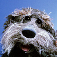 Avatar du membre