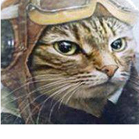 Avatar du membre